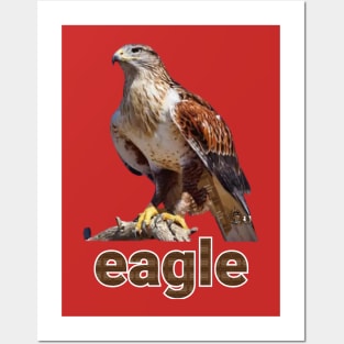 eagle Posters and Art